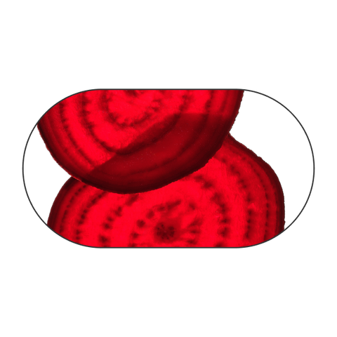 Rødbete